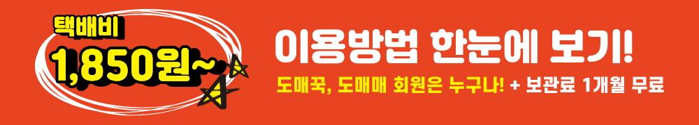 도매꾹X개미창고 풀필먼트 서비스 배너